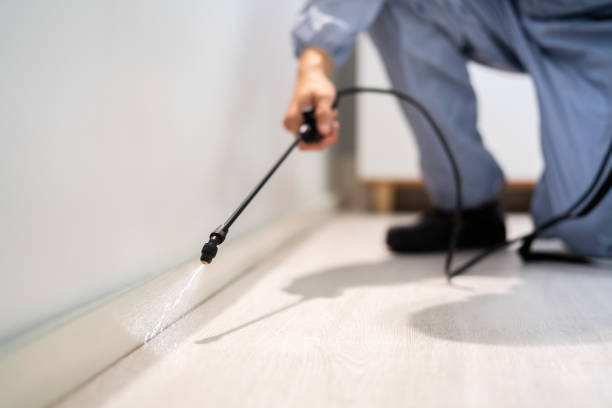 Bed Bug Pre-Treatment Preparation Assessment in Bethel